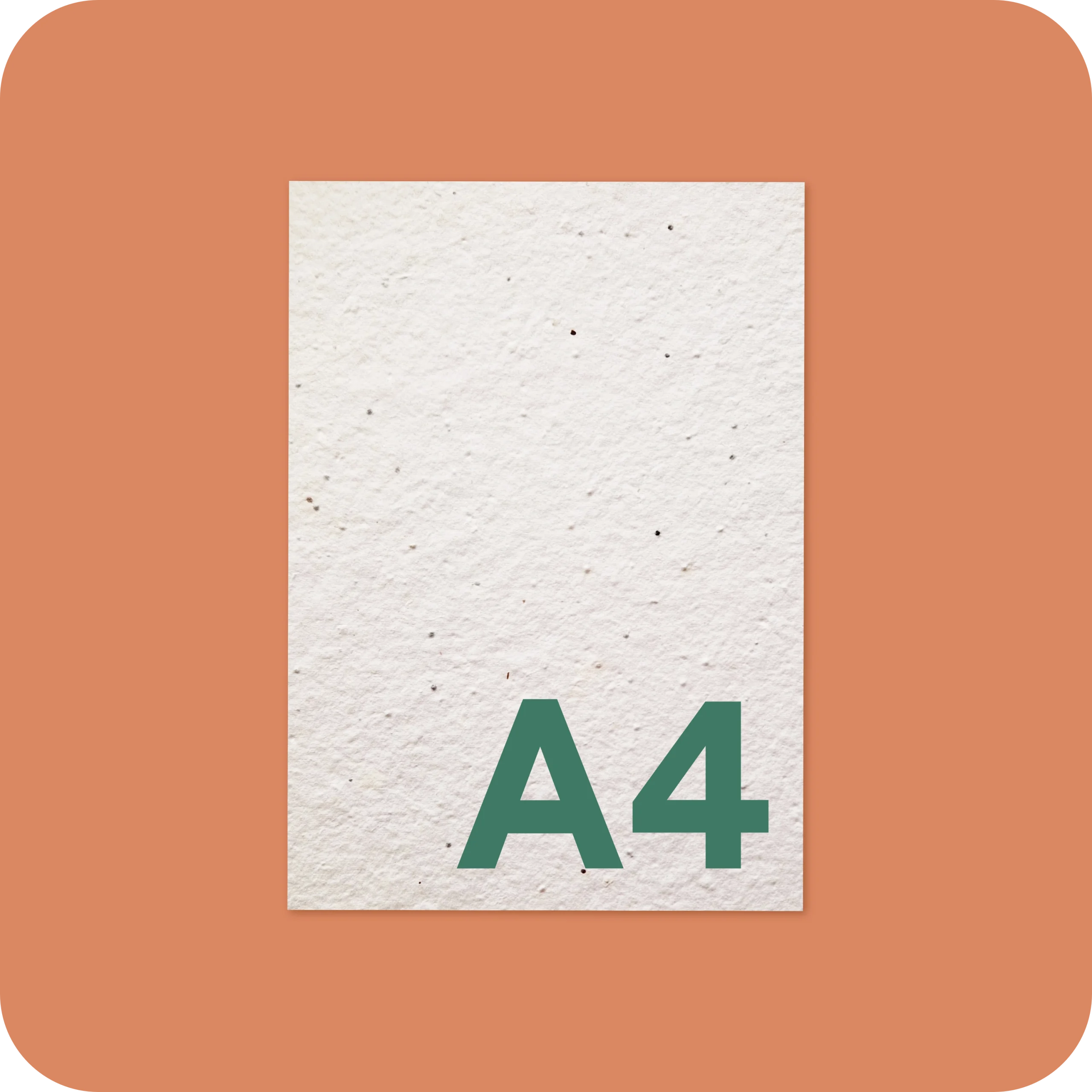 A4 Plantable and Eco Paper